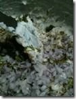 clip_image020