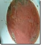 clip_image032