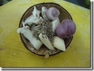 clip_image002