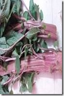 clip_image004