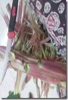 clip_image010